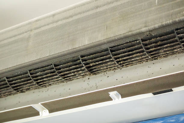 Best HVAC Air Duct Cleaning  in Folsom, PA